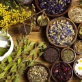 Herbal-and-traditional-medicines-for-epilepsy